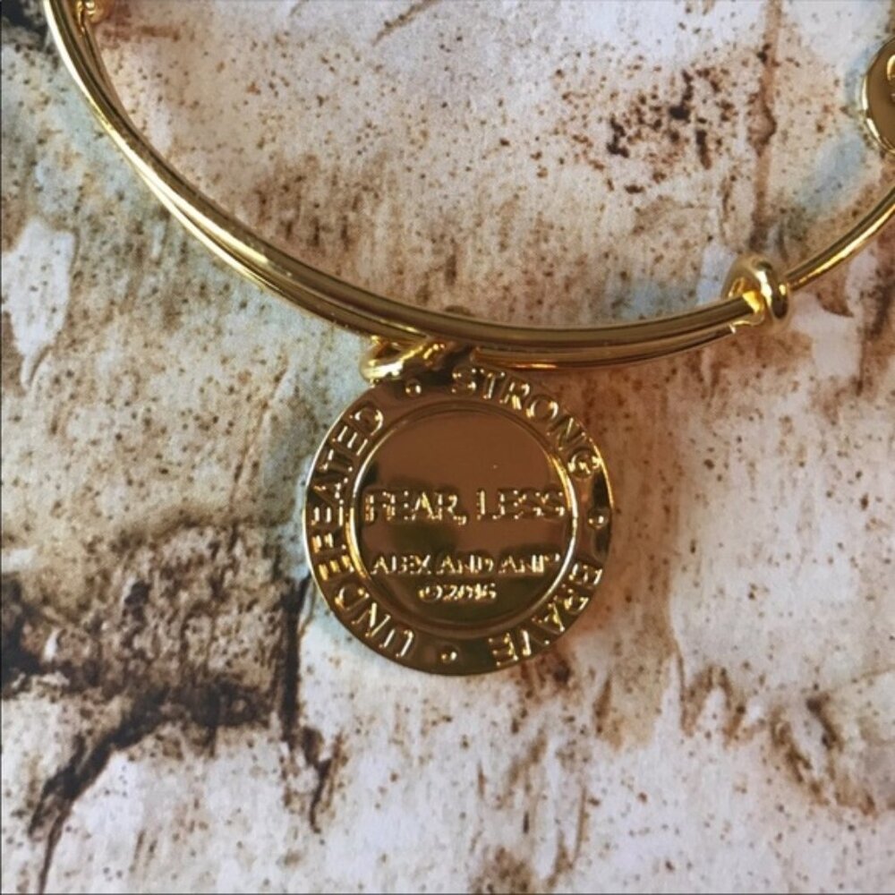 Nwt Alex And Ani Fearless Life Is Good Bangle 756 - image 5